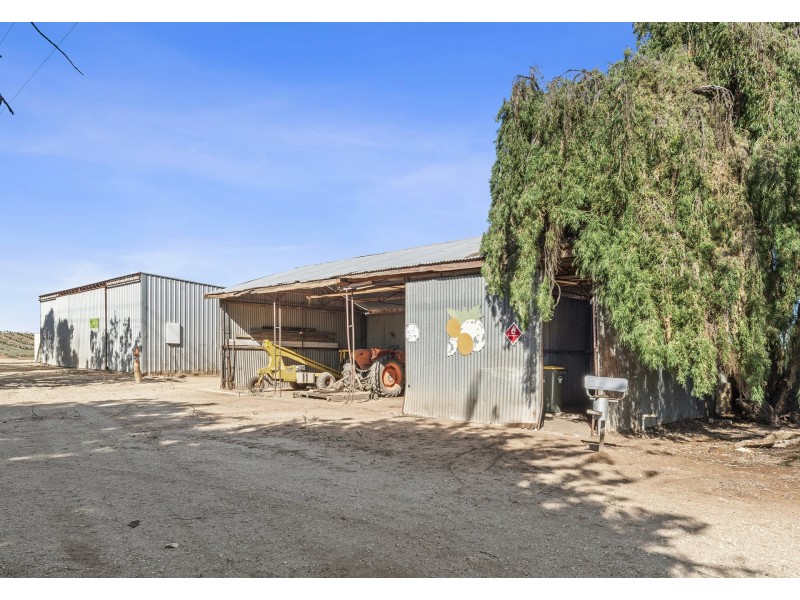 718 Bookpurnong Road, Bookpurnong SA 5333