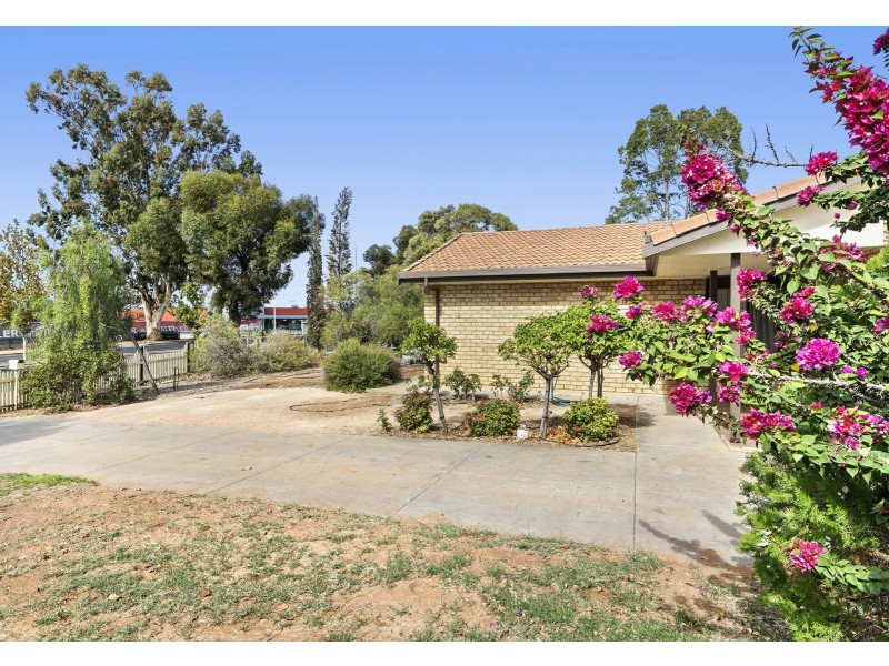 69 Kay Avenue, Berri SA 5343