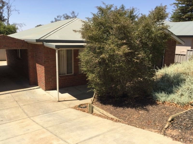 4A O’Hanez Street, Berri SA 5343