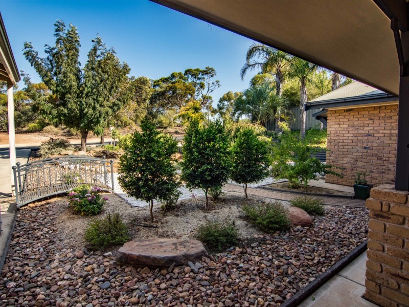 55 Derrick Street, Berri SA 5343