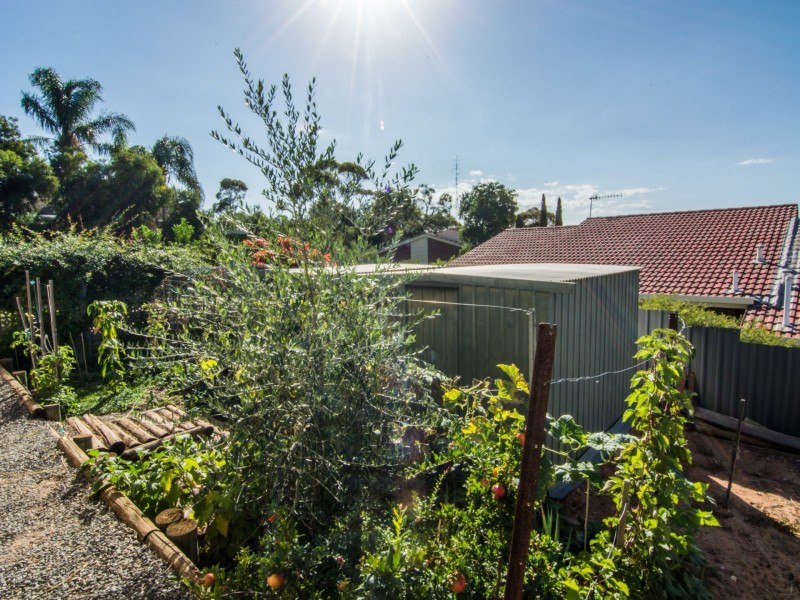 55 Derrick Street, Berri SA 5343