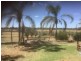176 Loxton Drive, Moorook SA 5332