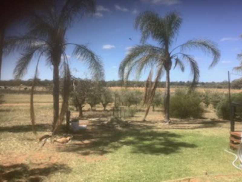 176 Loxton Drive, Moorook SA 5332