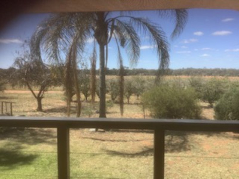 176 Loxton Drive, Moorook SA 5332