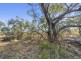 5 Berriman Road, Monash SA 5342