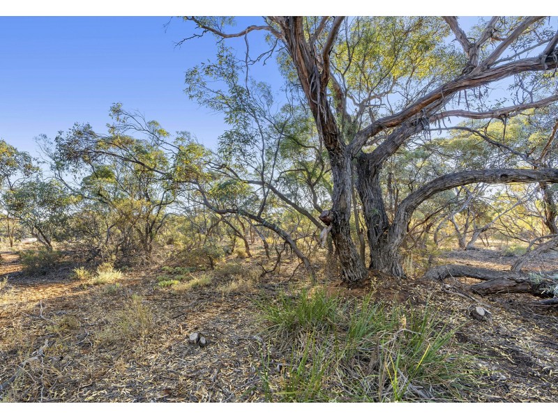 5 Berriman Road, Monash SA 5342