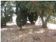68B Zante Rd, Berri SA 5343