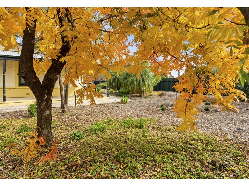 51 Bookpurnong Terrace, Loxton SA 5333