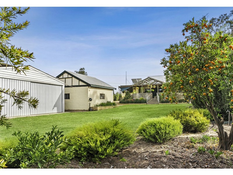 51 Bookpurnong Terrace, Loxton SA 5333