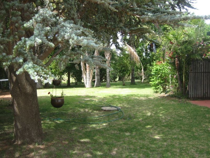 Winkie Road, Winkie SA 5343