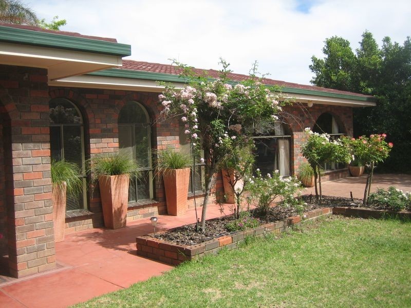 Winkie Road, Winkie SA 5343