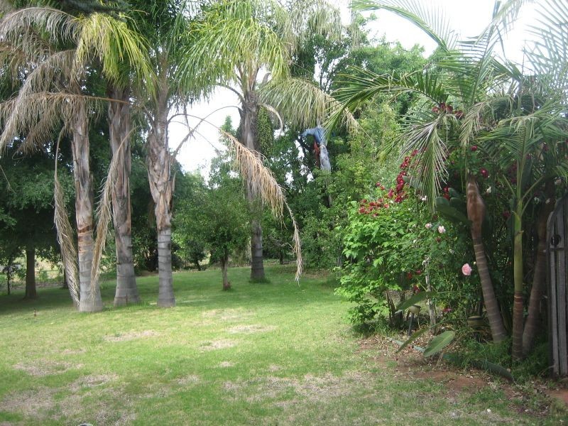 Winkie Road, Winkie SA 5343