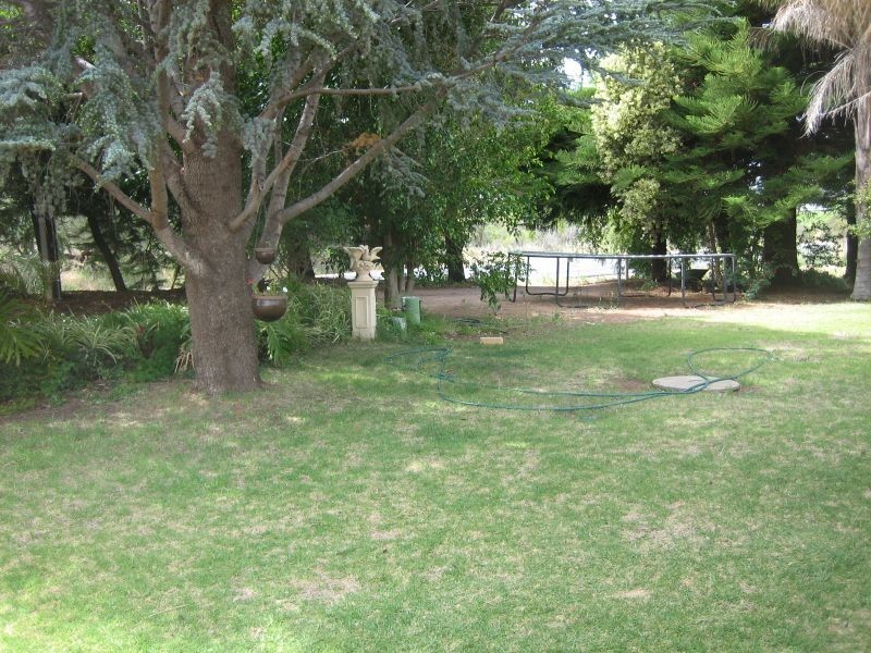 Winkie Road, Winkie SA 5343