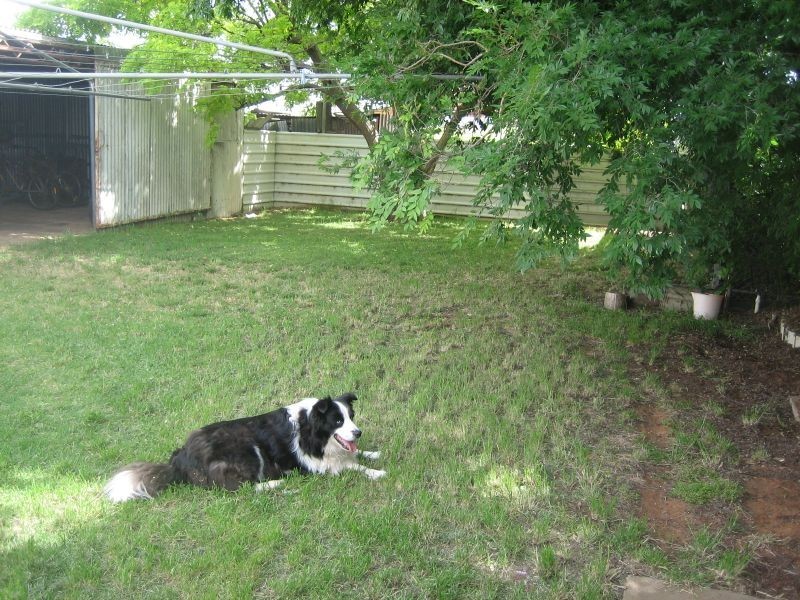 Winkie Road, Winkie SA 5343