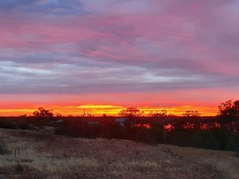 9 Lagoon Road, Kingston On Murray SA 5331