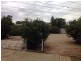 9 Waltham Street, Berri SA 5343