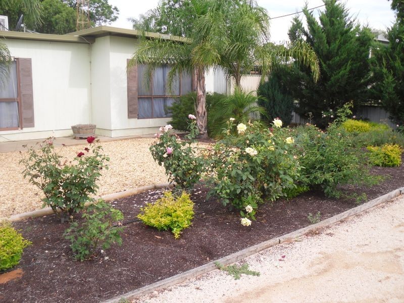 3 Shaddock St, Berri SA 5343