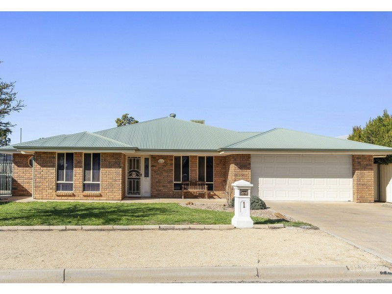 1 Huckstepp Court, Berri SA 5343