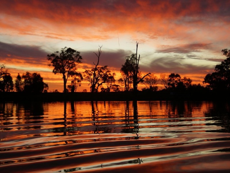 34 Henry Road, Kingston On Murray SA 5331