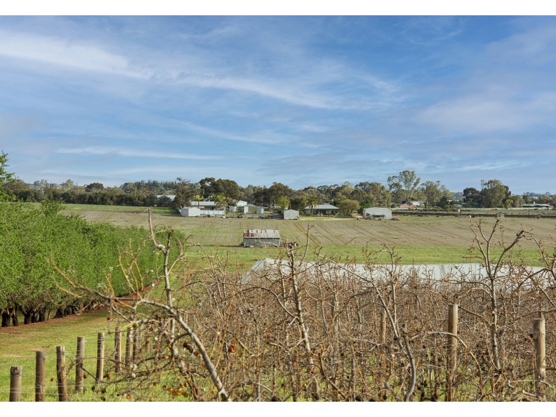 41 Briers Road, Loxton North SA 5333