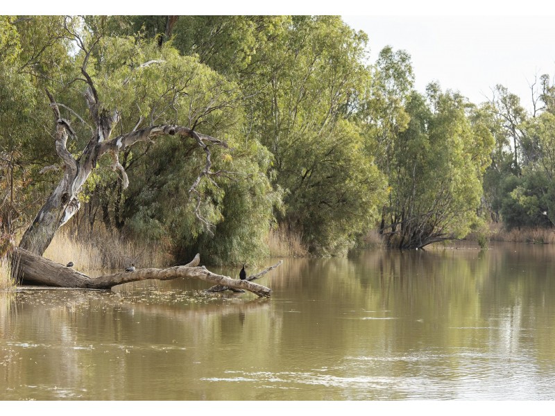 41 Briers Road, Loxton North SA 5333