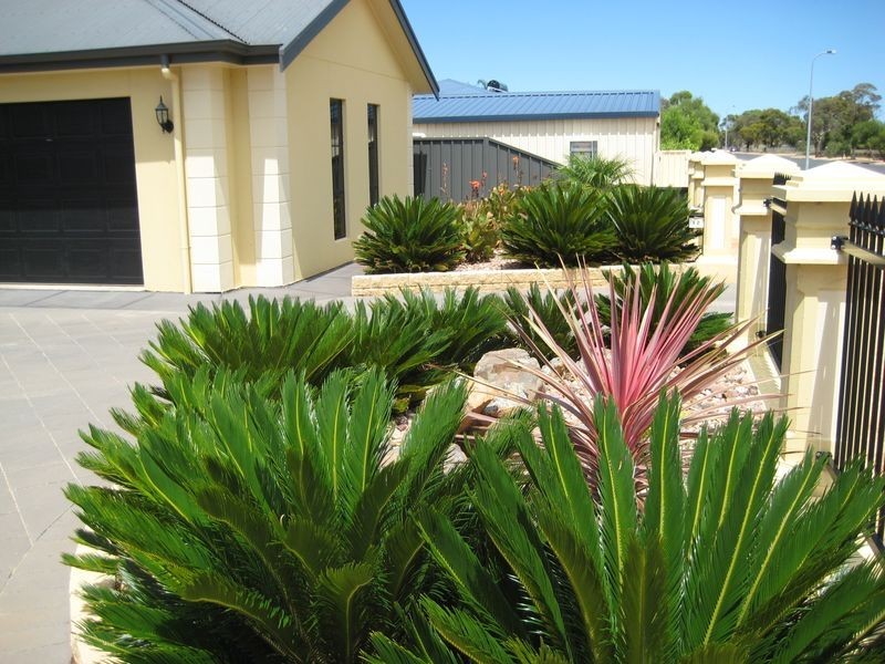 42 Anderson, Barmera SA 5345