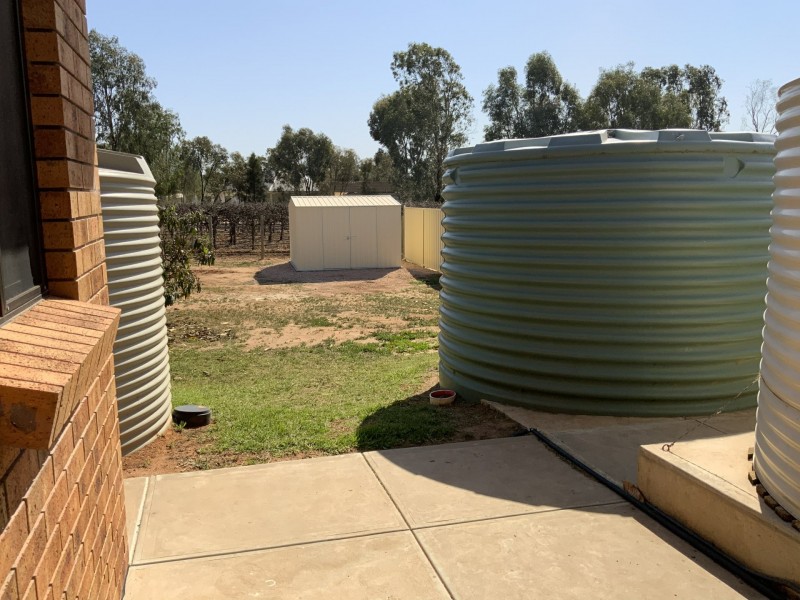 113 Twentythird Street, Renmark SA 5341