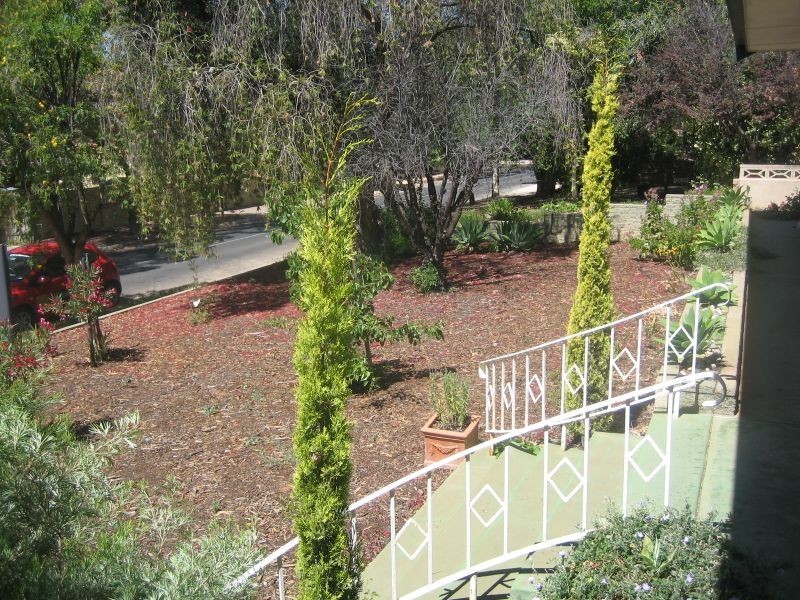 10 Derrick Street, Berri SA 5343