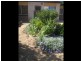 3 40 First Street, Loxton SA 5333