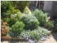 3 40 First Street, Loxton SA 5333