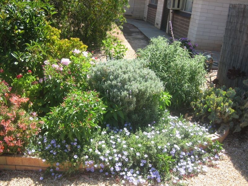 3 40 First Street, Loxton SA 5333