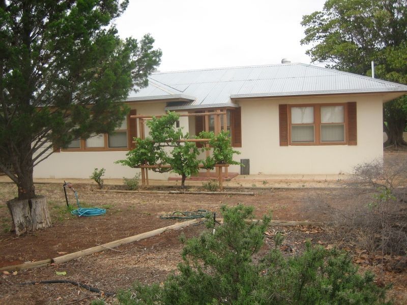 485 French Road, Loxton SA 5333