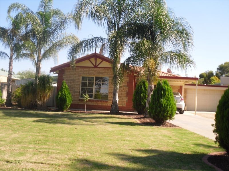 19 Fenwick Road, Berri SA 5343