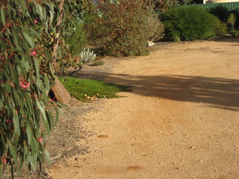 39 Pomroy Cres, Lyrup SA 5343