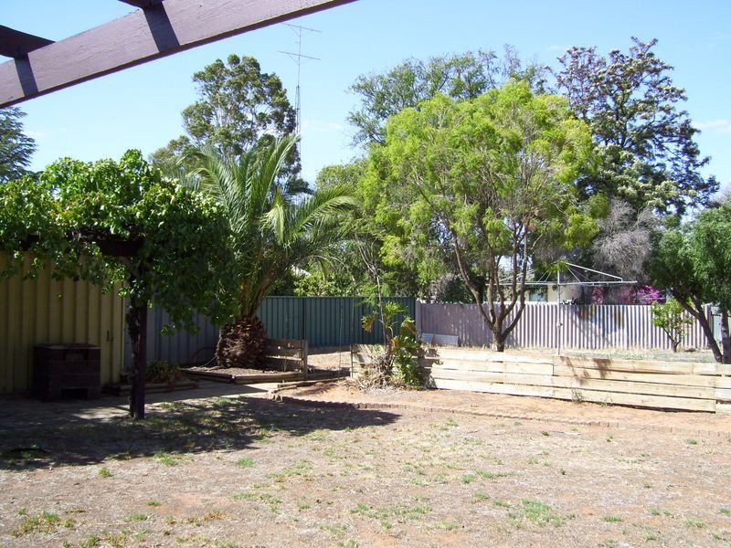 15 Amy Street, Barmera SA 5345