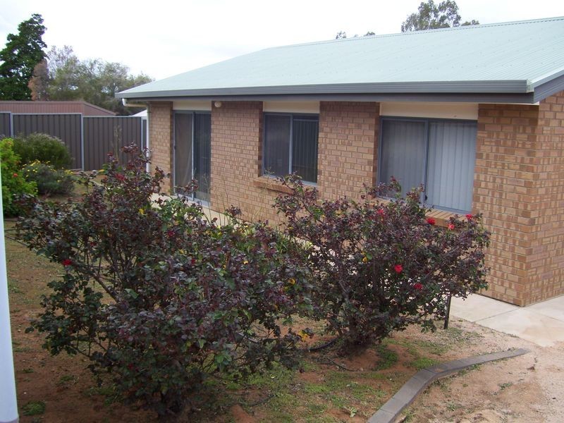 2/3 McLean St, Berri SA 5343