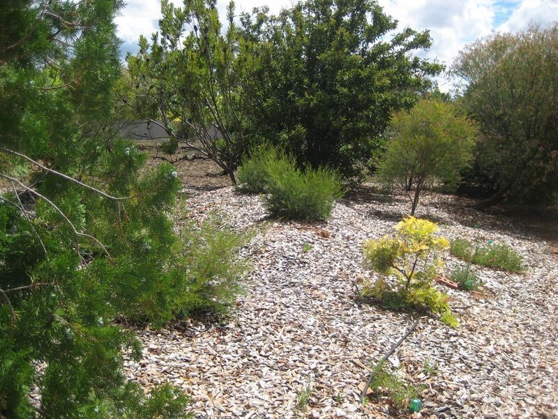 1707 Bookpurnong Road, Loxton SA 5333