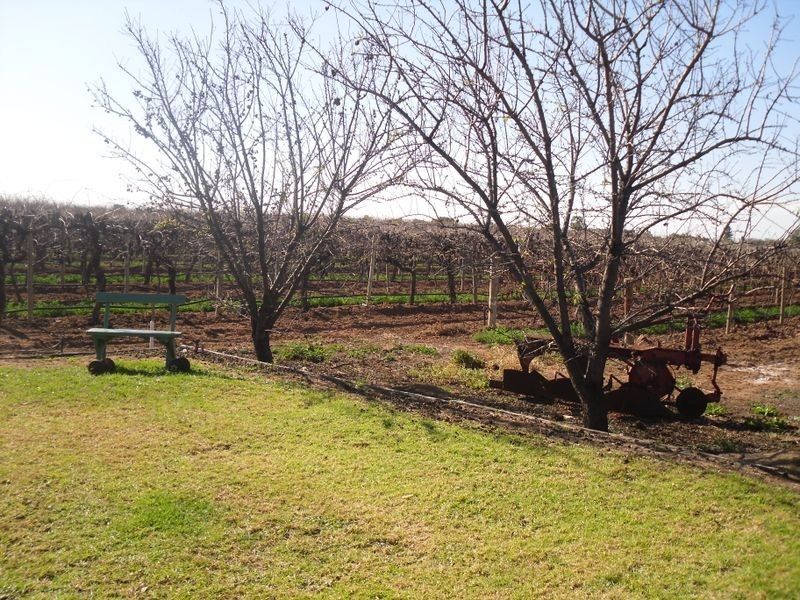 Lot 10 Tareena St, Renmark North SA 5341