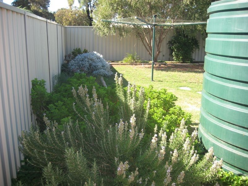 29B Korinthos Street, Renmark SA 5341