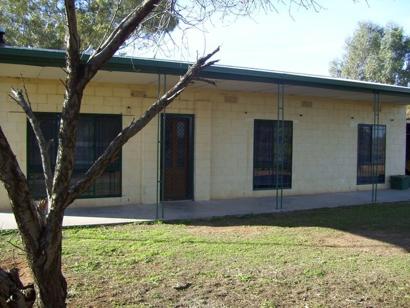 55 Hombsch Road, Barmera SA 5345