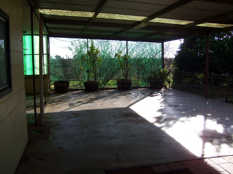 55 Hombsch Road, Barmera SA 5345