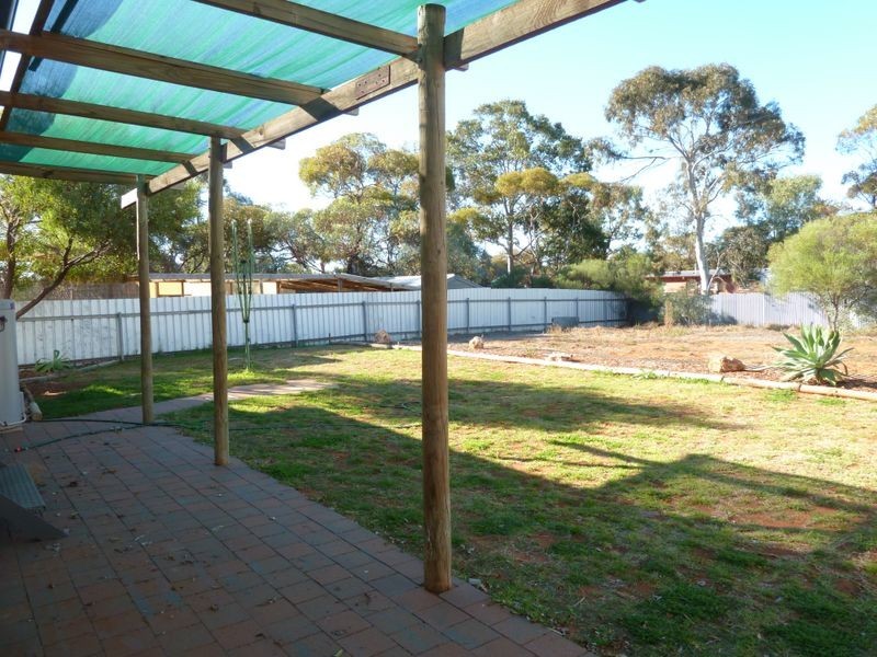 53 McGregor St, Berri SA 5343