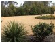 360 Pike Creek Road, Lyrup SA 5343