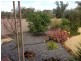 360 Pike Creek Road, Lyrup SA 5343