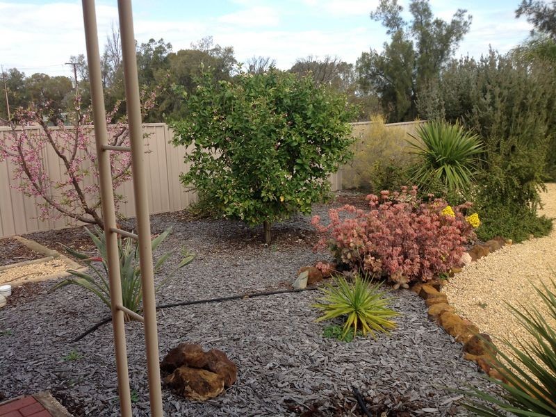 360 Pike Creek Road, Lyrup SA 5343