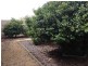 360 Pike Creek Road, Lyrup SA 5343