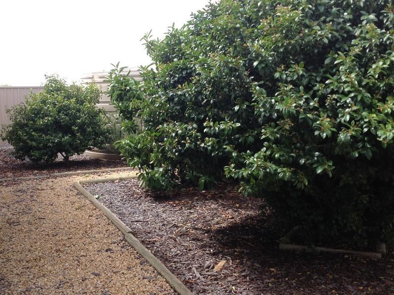 360 Pike Creek Road, Lyrup SA 5343