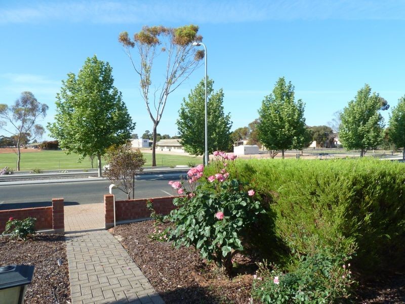 1/11 Scott Avenue, Barmera SA 5345