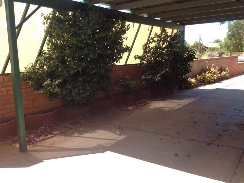 8 Trantalis Court, Loxton SA 5333