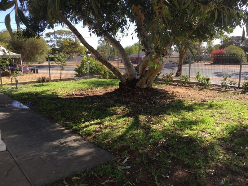 8 Zante Road, Berri SA 5343